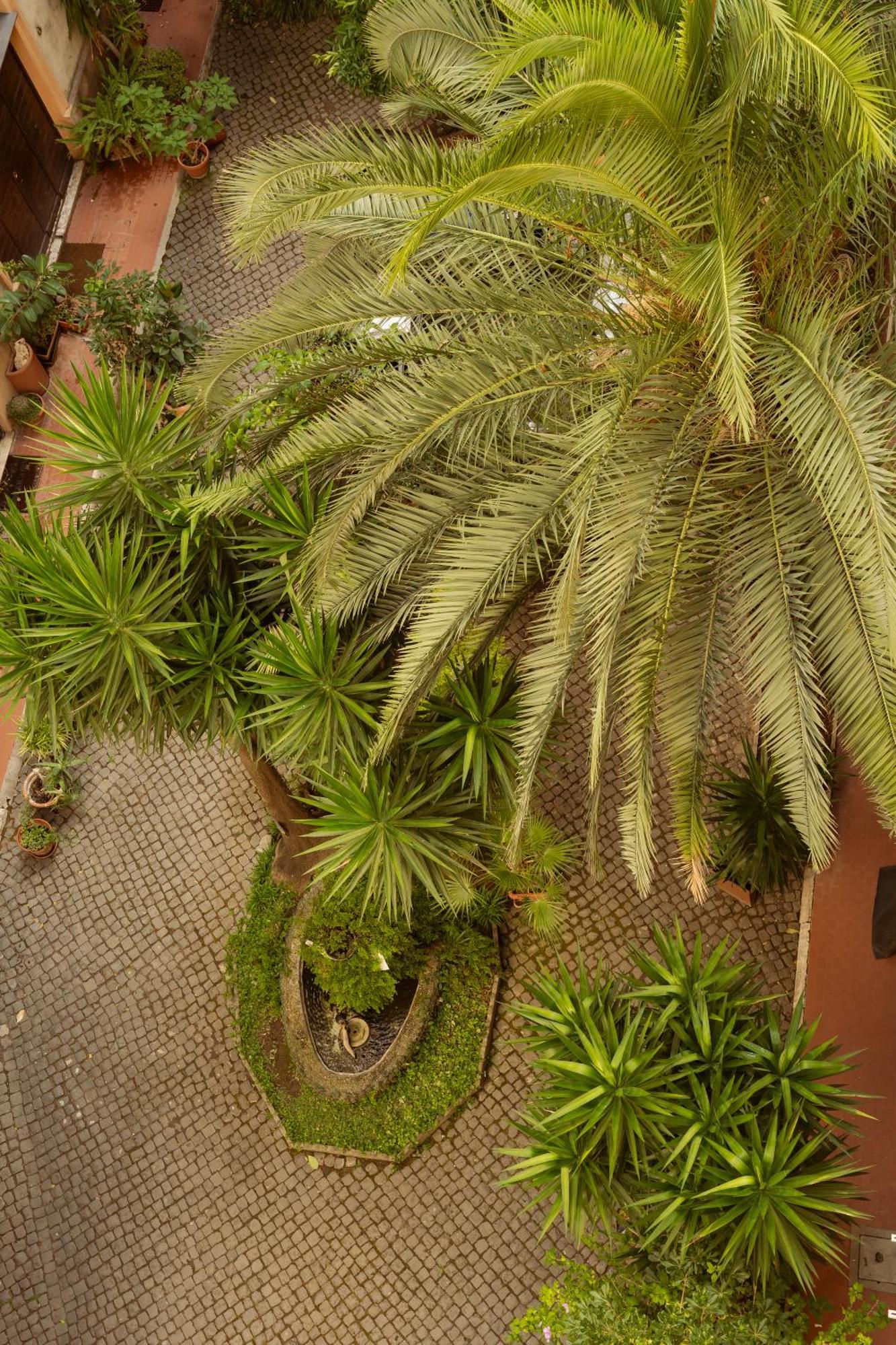La Casa Di Amy Gasthuis